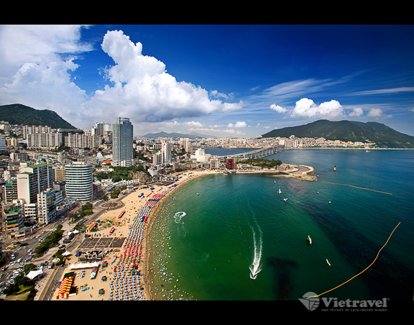 TP. Hồ Chí Minh – Busan